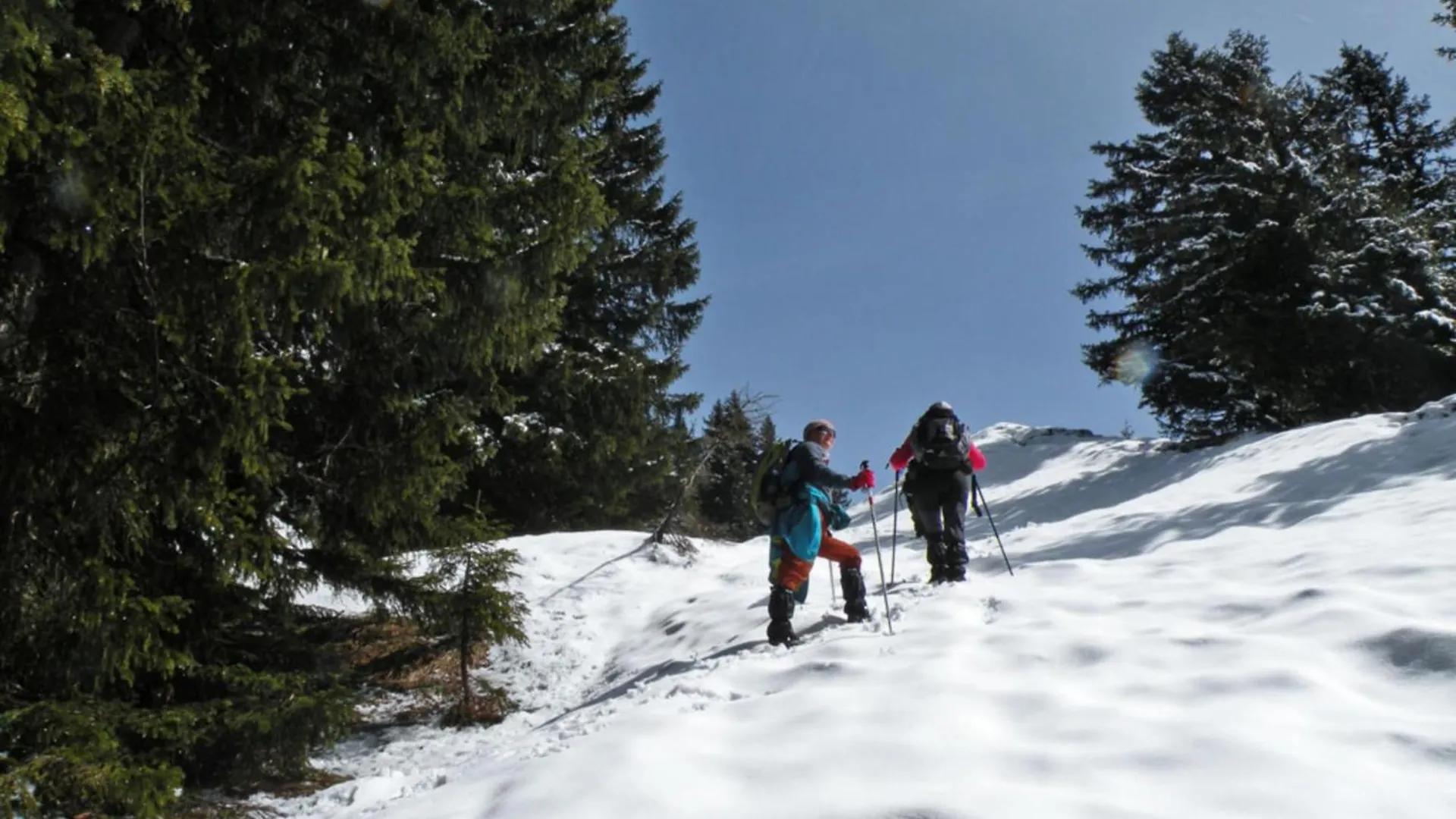 Chalet Franclair Samoëns